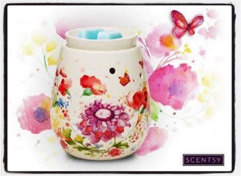 Earned Spread Your Wings