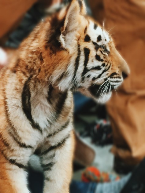 Processed with VSCOcam with c7 preset